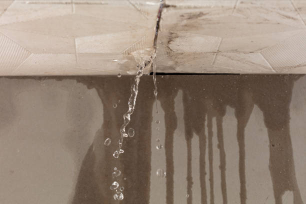 Professional Sewage Cleanup technician working in Woolstock, IA